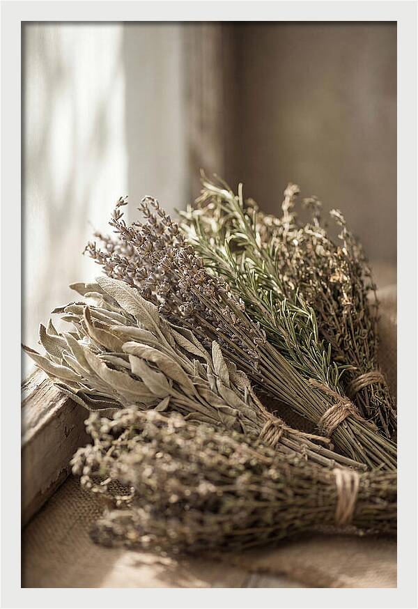 Dried Herbs Bundled Together