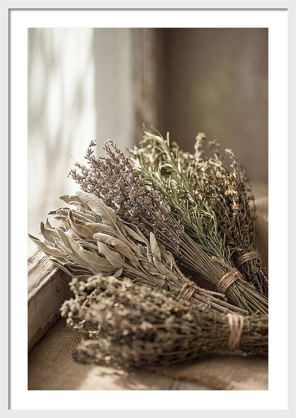Dried Herbs Bundled Together