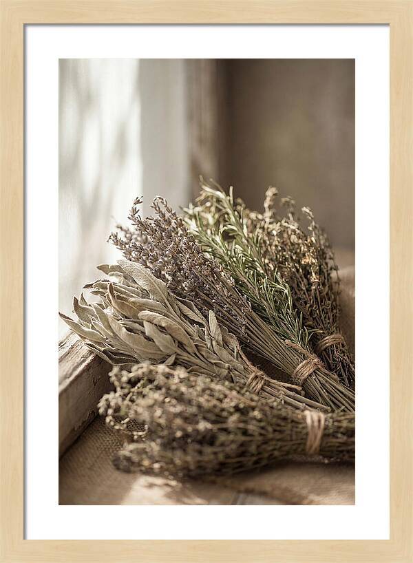 Dried Herbs Bundled Together