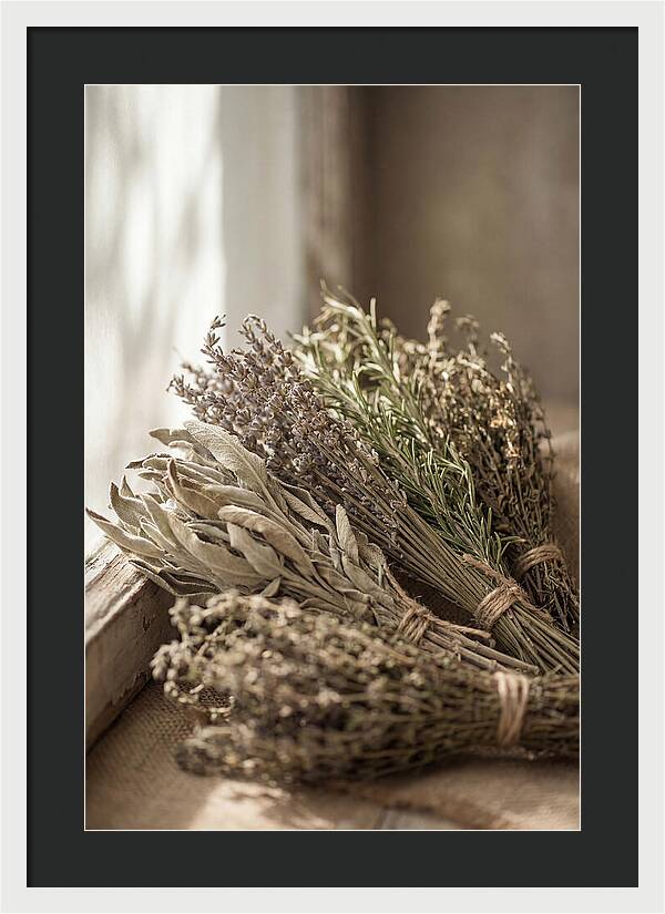 Dried Herbs Bundled Together
