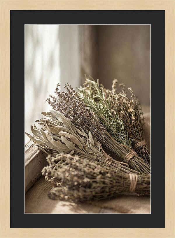 Dried Herbs Bundled Together
