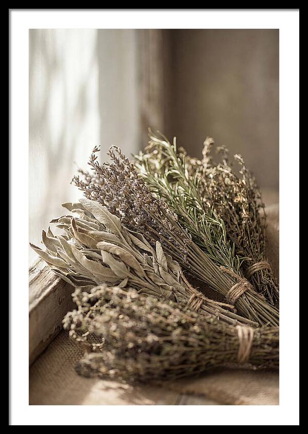 Dried Herbs Bundled Together