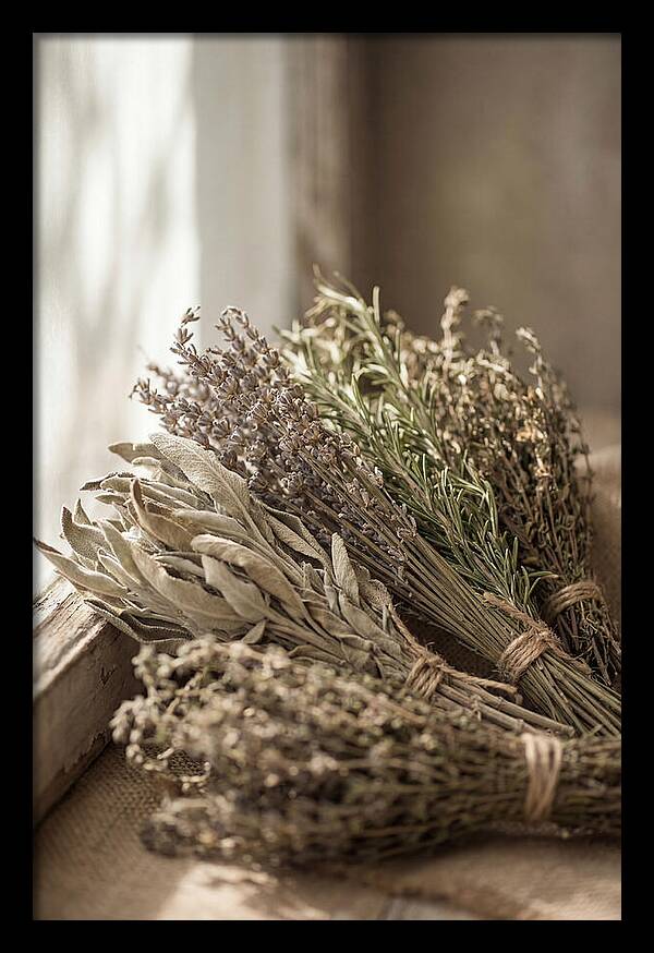 Dried Herbs Bundled Together