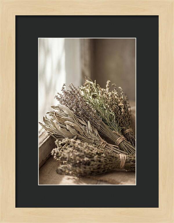 Dried Herbs Bundled Together