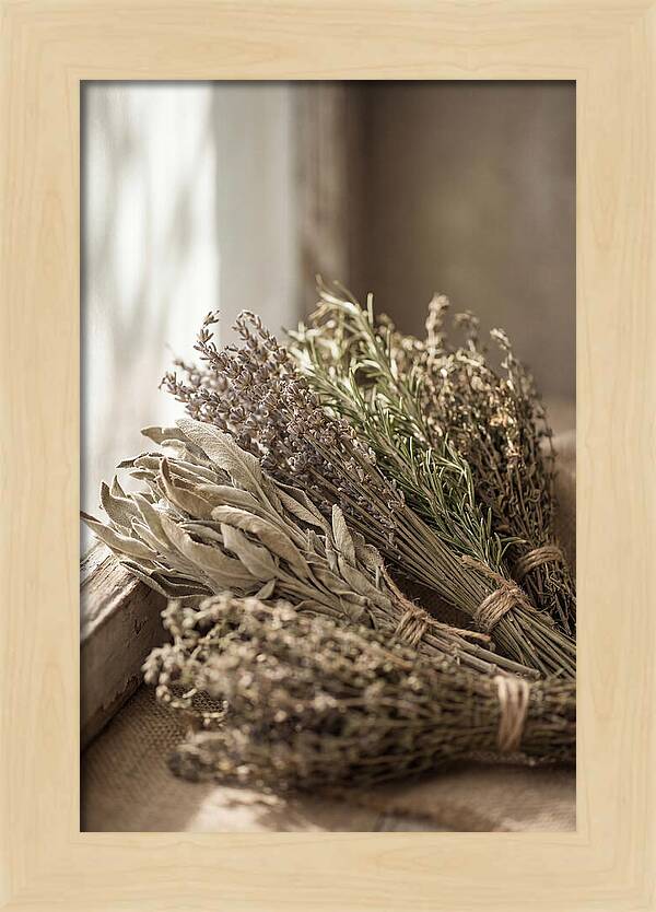 Dried Herbs Bundled Together