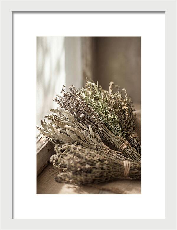 Dried Herbs Bundled Together