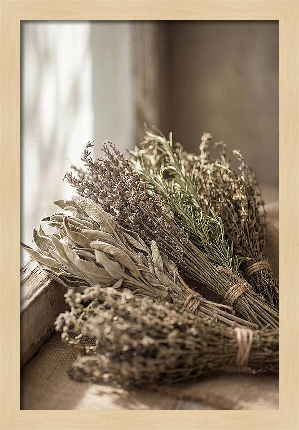 Dried Herbs Bundled Together