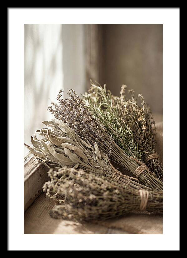 Dried Herbs Bundled Together