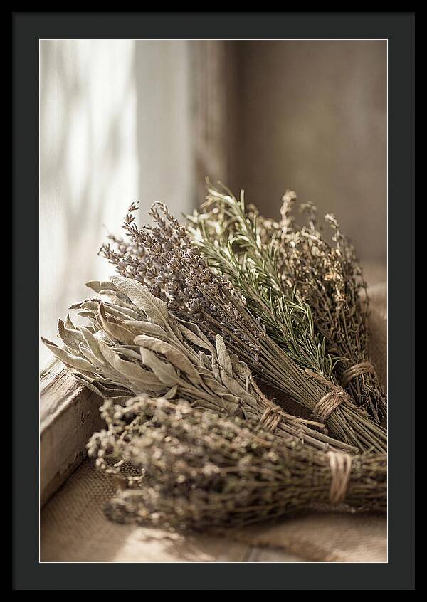 Dried Herbs Bundled Together