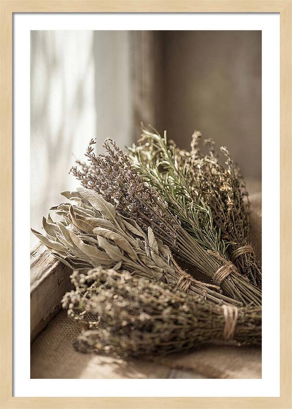 Dried Herbs Bundled Together