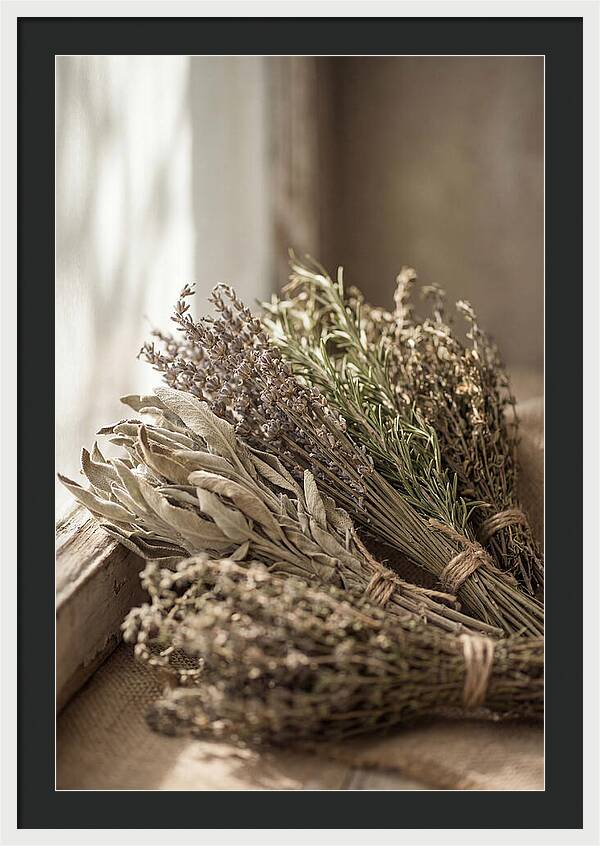 Dried Herbs Bundled Together