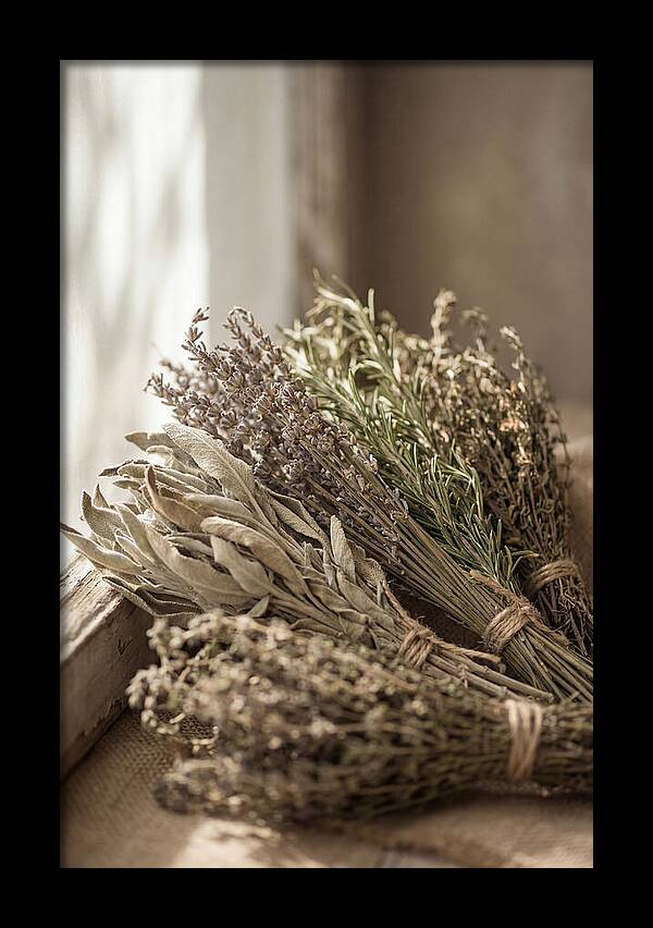 Dried Herbs Bundled Together