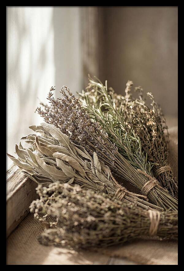 Dried Herbs Bundled Together