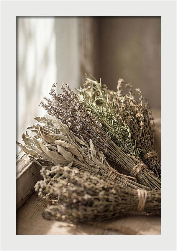 Dried Herbs Bundled Together