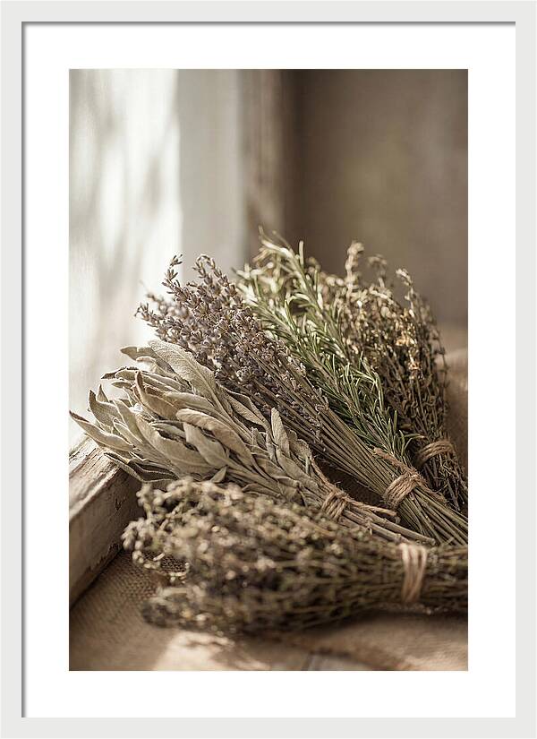 Dried Herbs Bundled Together