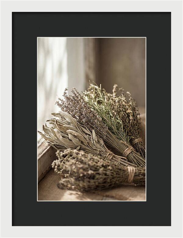 Dried Herbs Bundled Together