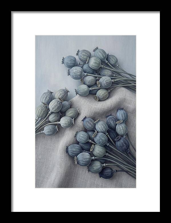 Dried Poppy Seed Heads Arrangement