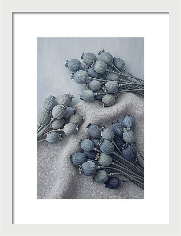 Dried Poppy Seed Heads Arrangement