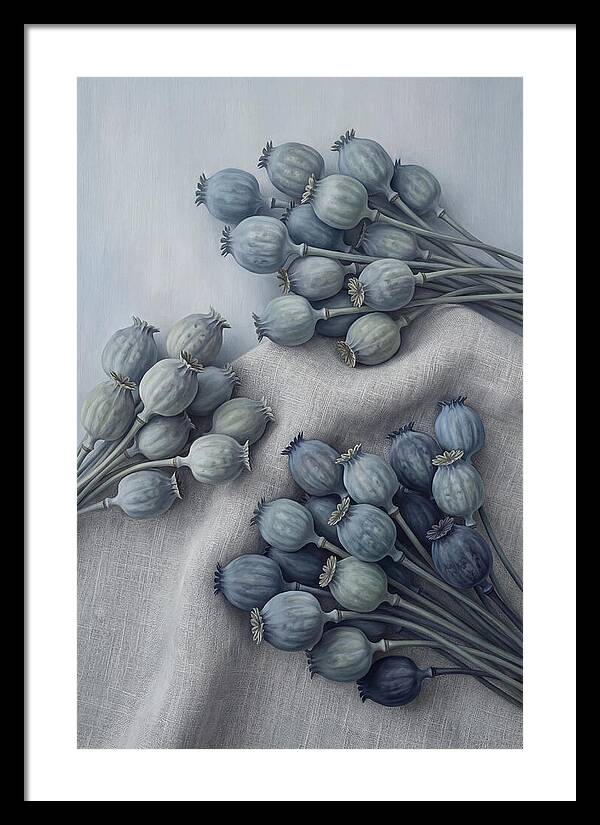 Dried Poppy Seed Heads Arrangement