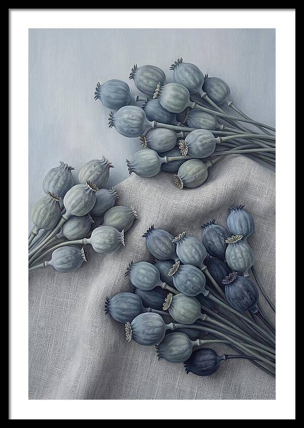 Dried Poppy Seed Heads Arrangement
