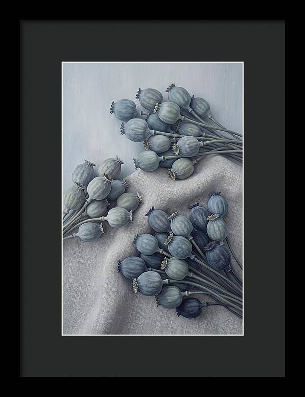 Dried Poppy Seed Heads Arrangement