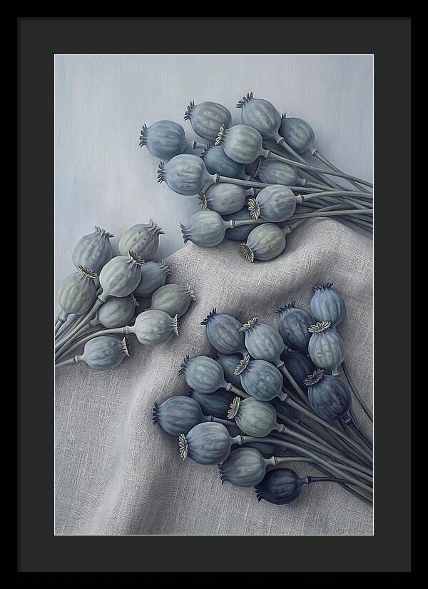 Dried Poppy Seed Heads Arrangement