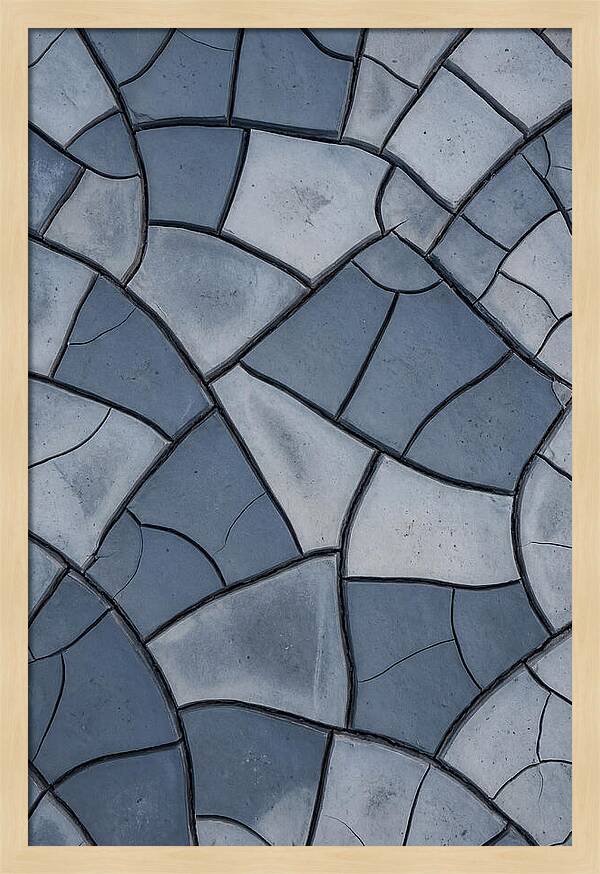 Dried River Mud Crackle