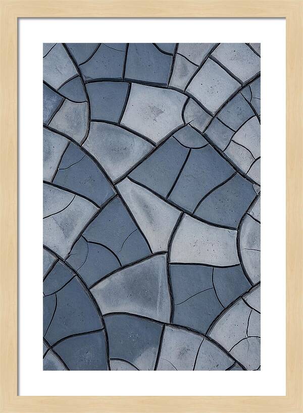 Dried River Mud Crackle