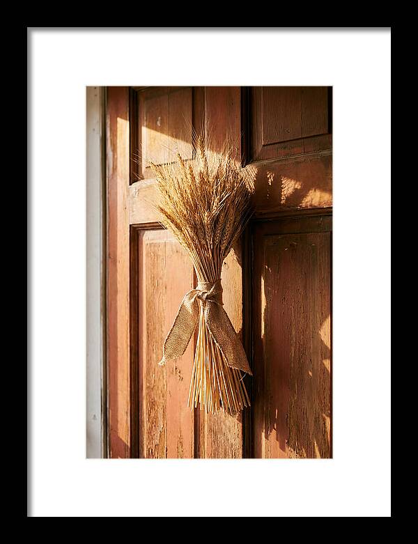 Dried Wheat Sheaf Decor