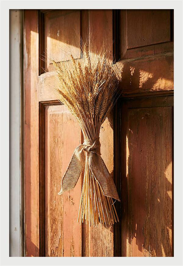 Dried Wheat Sheaf Decor