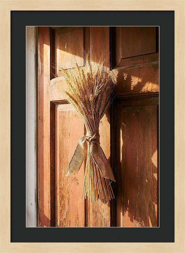 Dried Wheat Sheaf Decor