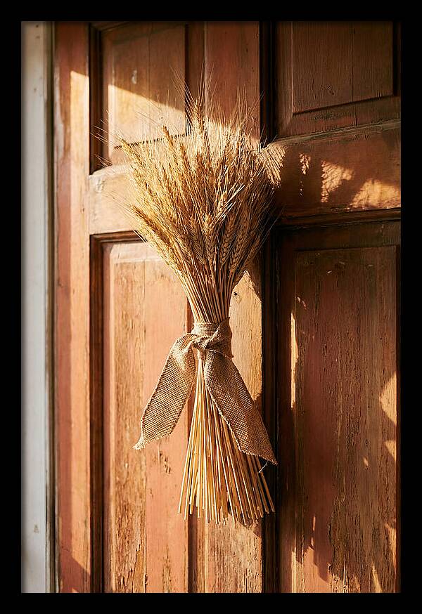 Dried Wheat Sheaf Decor