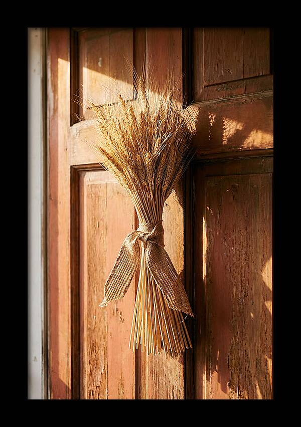 Dried Wheat Sheaf Decor