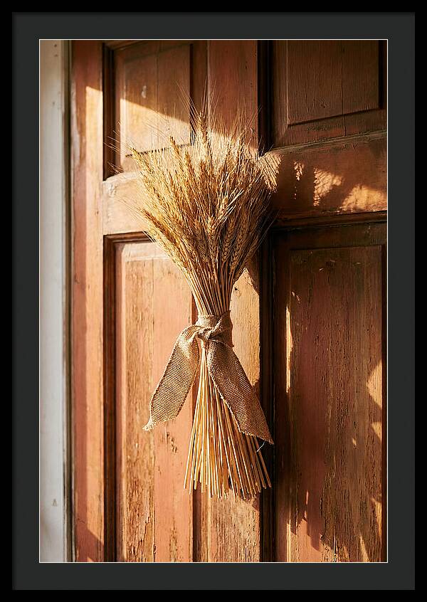 Dried Wheat Sheaf Decor