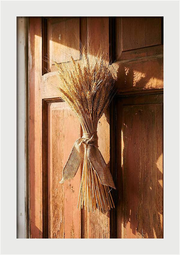 Dried Wheat Sheaf Decor