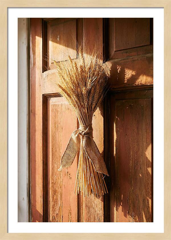 Dried Wheat Sheaf Decor