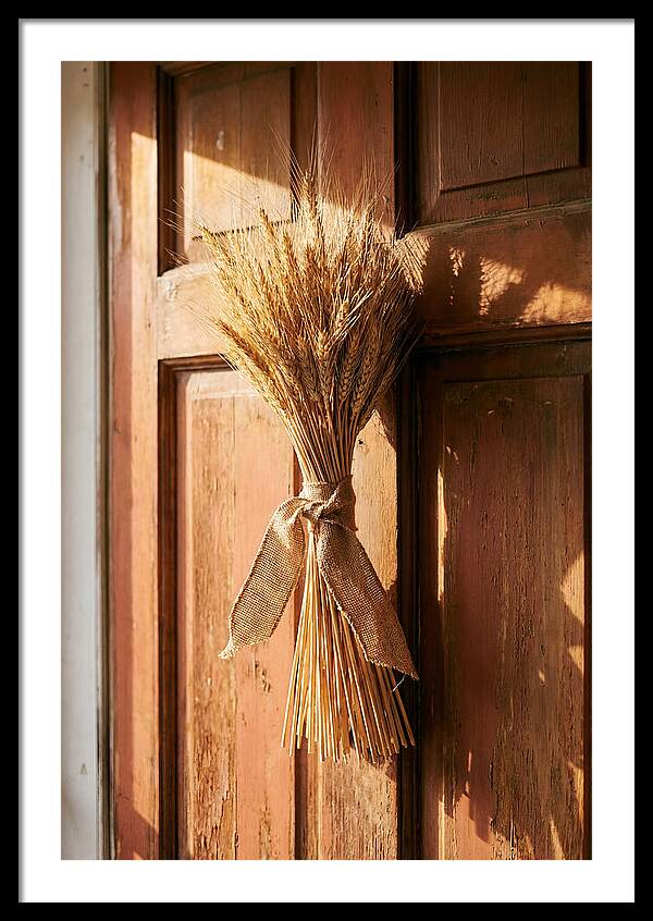 Dried Wheat Sheaf Decor