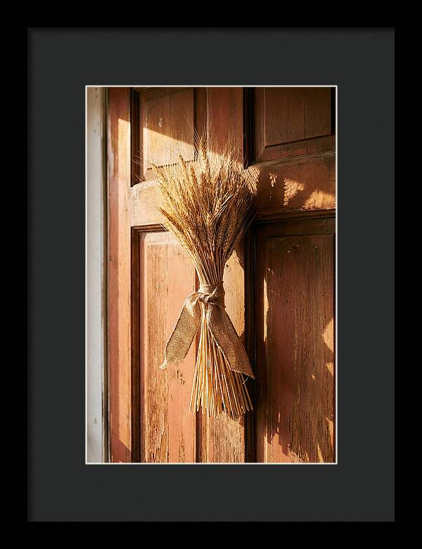 Dried Wheat Sheaf Decor