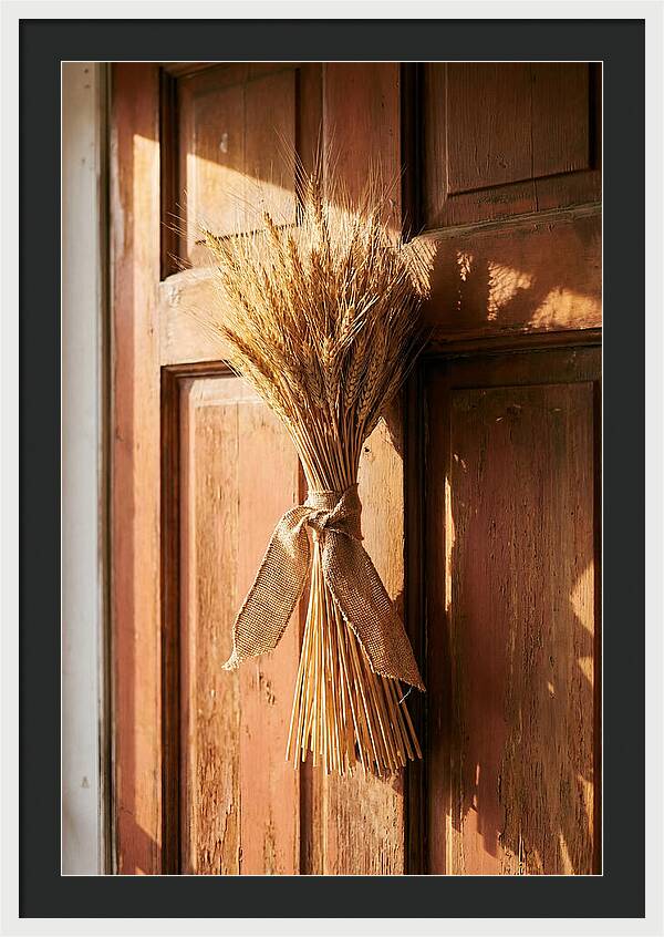 Dried Wheat Sheaf Decor
