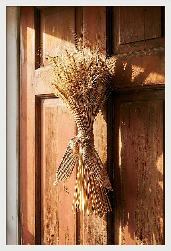 Dried Wheat Sheaf Decor