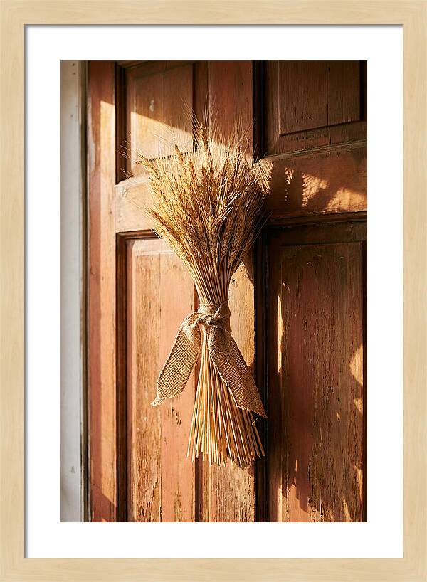 Dried Wheat Sheaf Decor