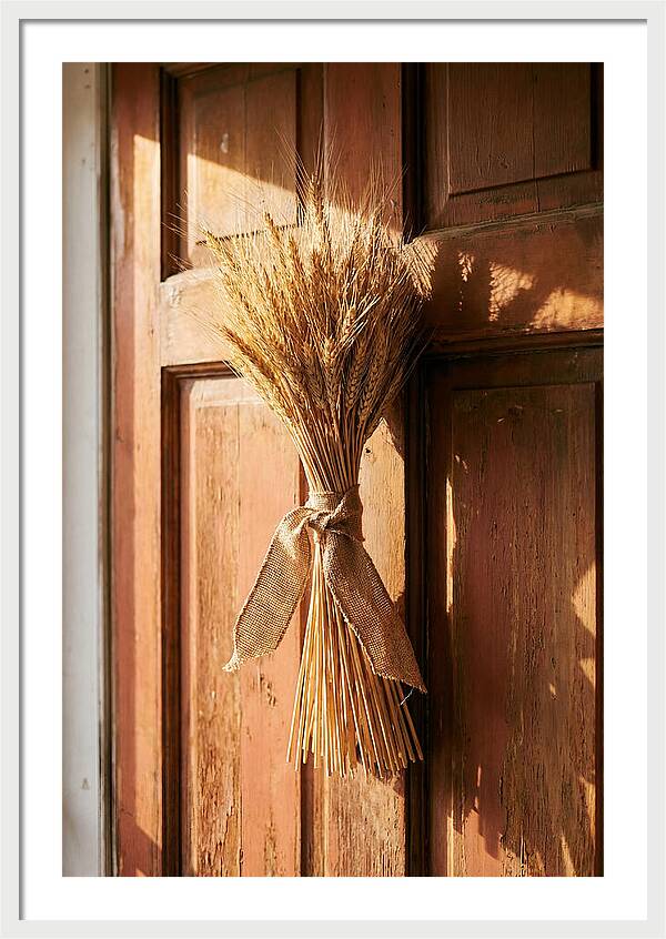 Dried Wheat Sheaf Decor