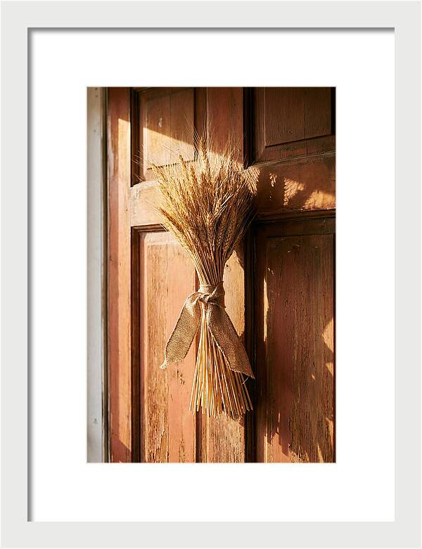Dried Wheat Sheaf Decor