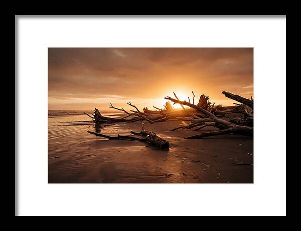 Driftwood At Sunset