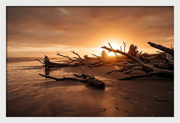 Driftwood At Sunset