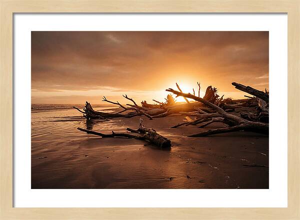 Driftwood At Sunset