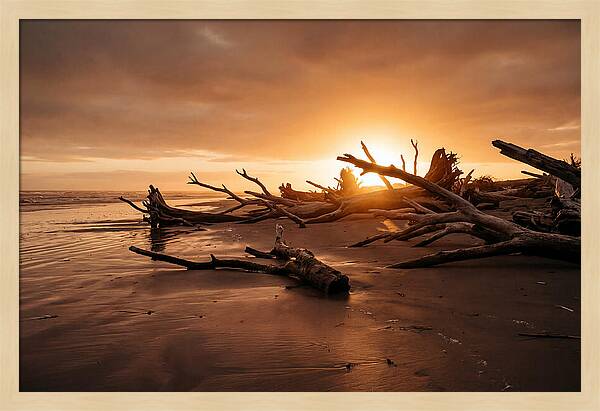 Driftwood At Sunset