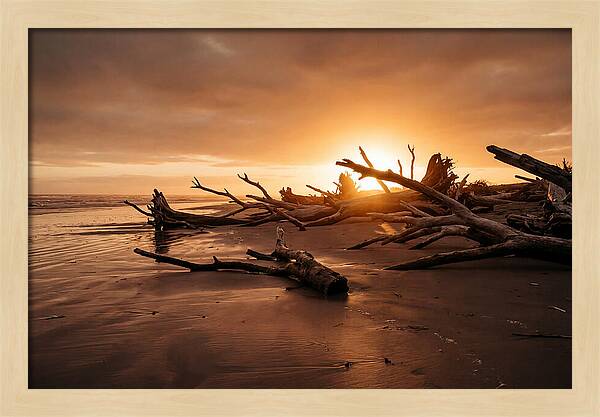 Driftwood At Sunset