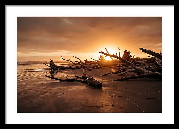 Driftwood At Sunset