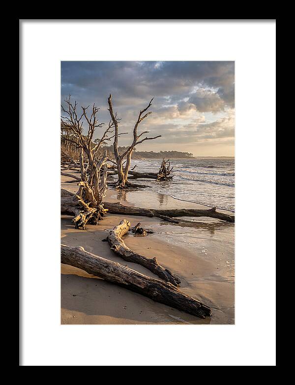 Driftwood Beach Serenity